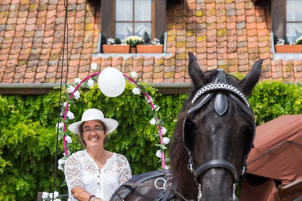 Calèche campagne mariage