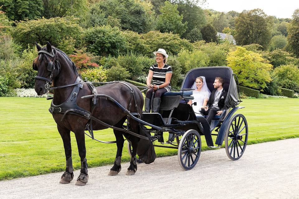 Grande calèche mariage