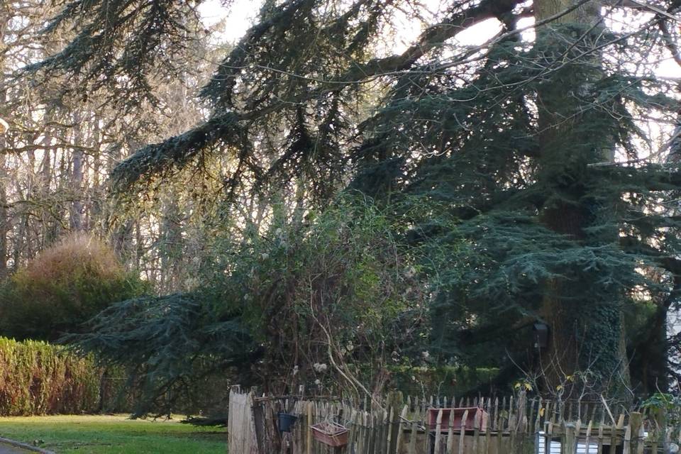 Le pigeonnier du château