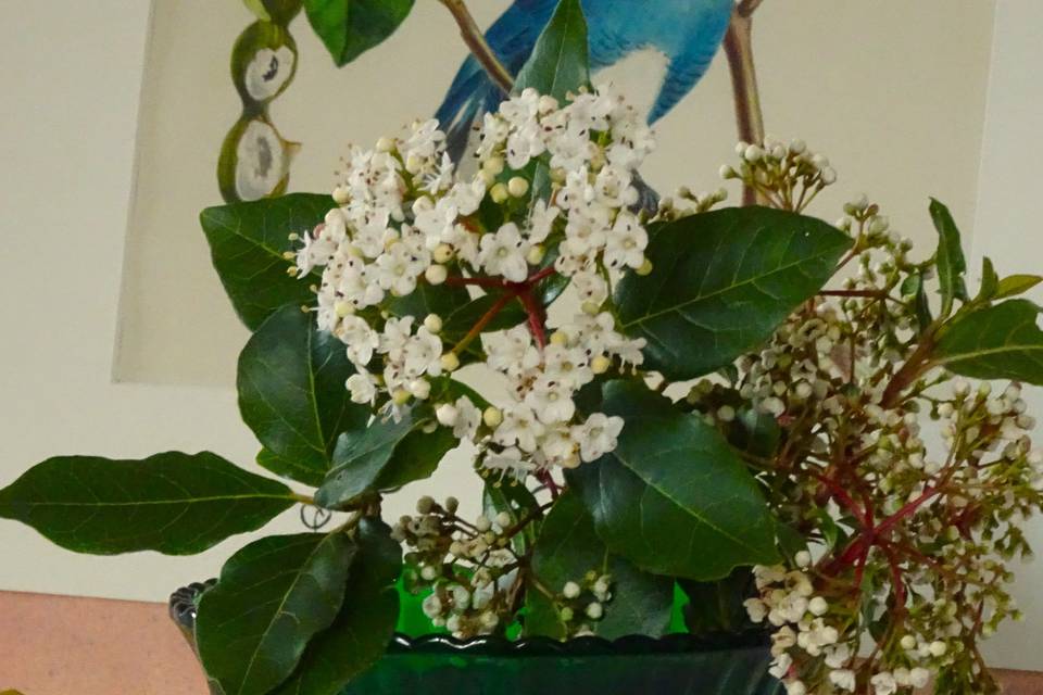 Vase ouvert sur pied vert