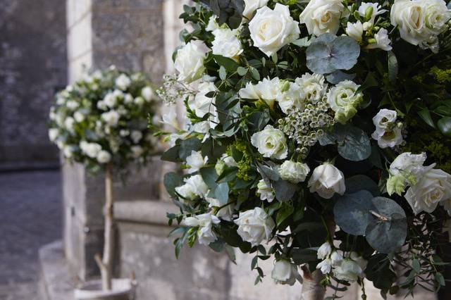 Arbre fleuri église