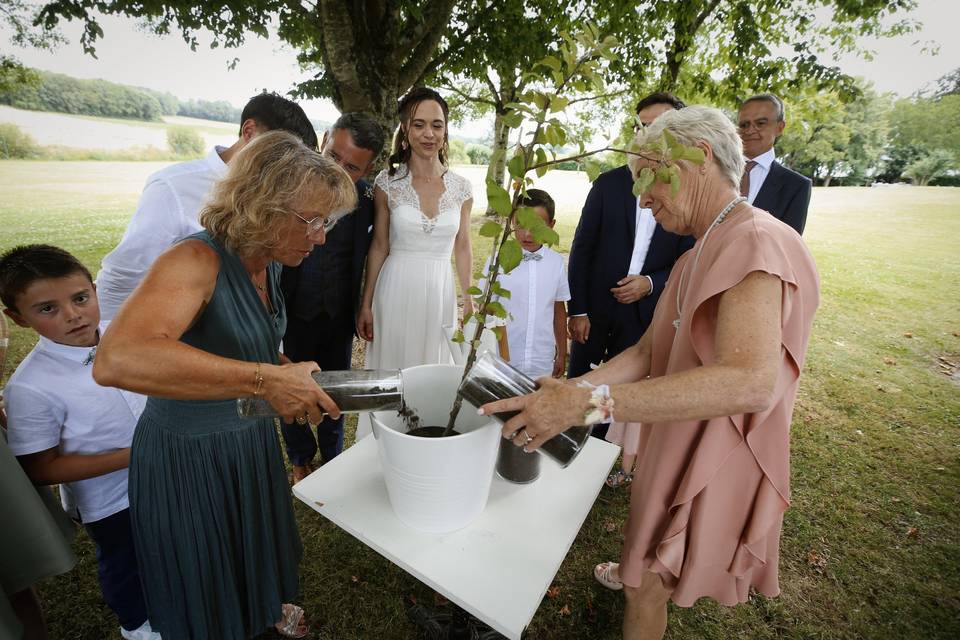 Rituel de l'arbre