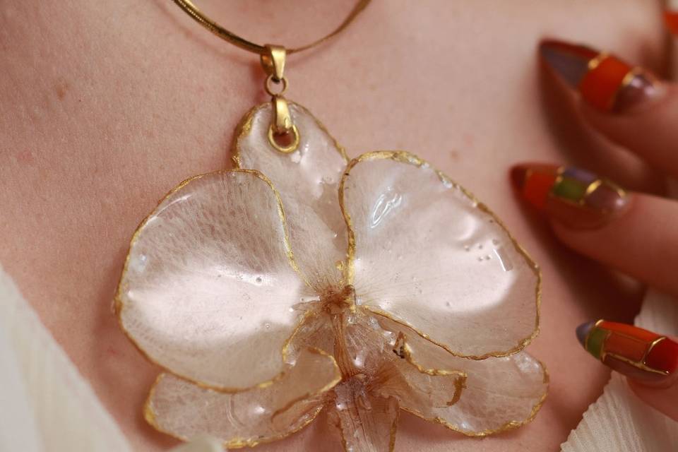 Orchidée
