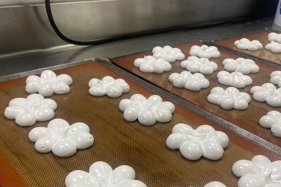 Pavlova