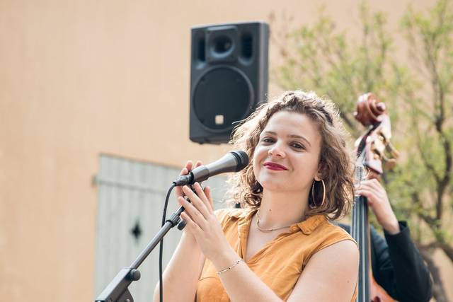 Dixit trio
