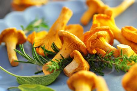 La Chanterelle