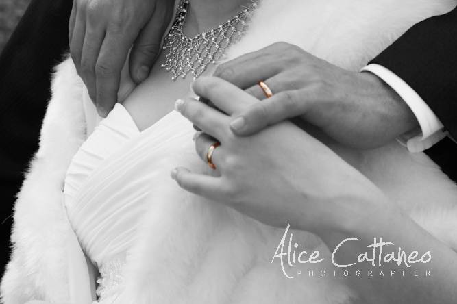 Alice Cattaneo photographer