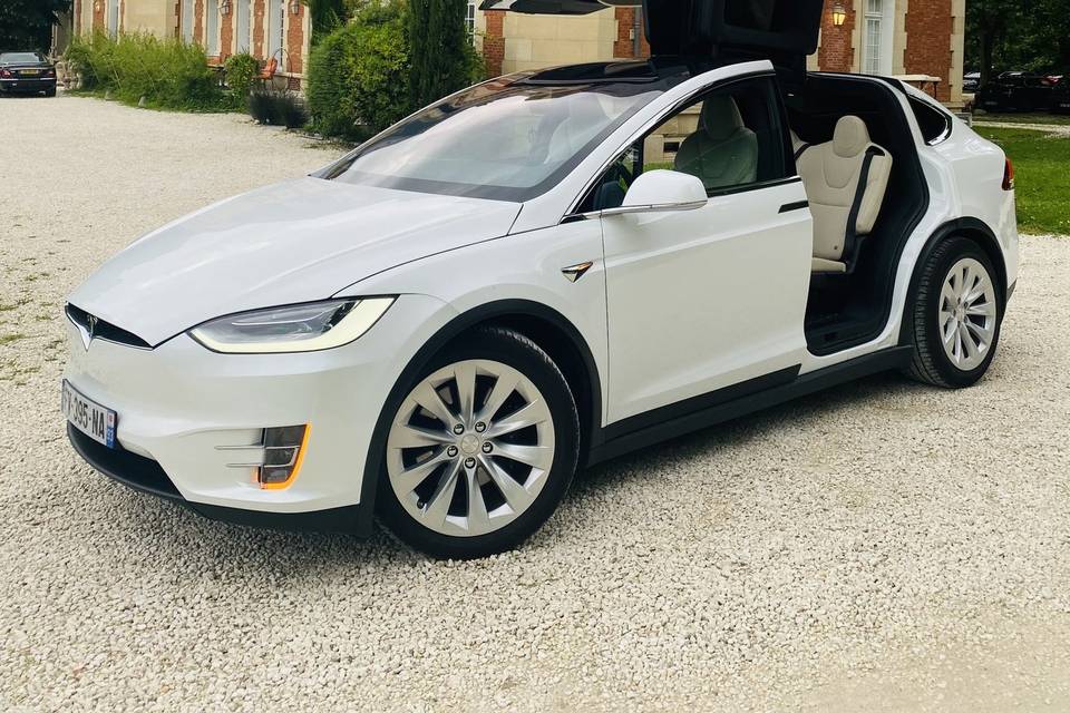 Tesla X 2021