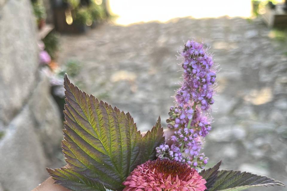 Boutonnière