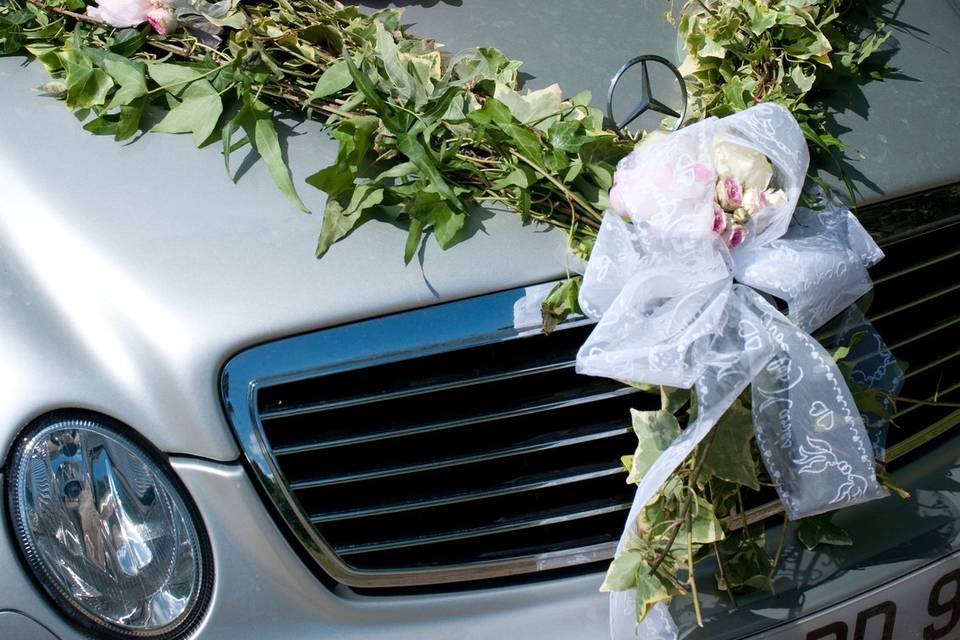 Une Fleur, Un Bonheur