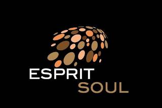 Association Esprit Soul Logo