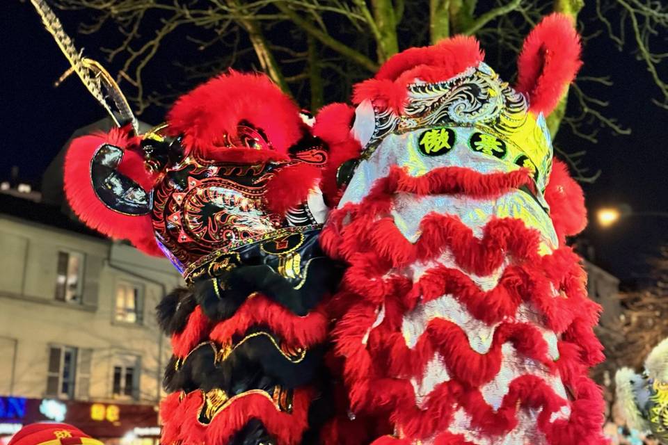 Lion rouges