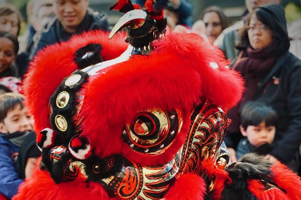 Lion rouge et noir
