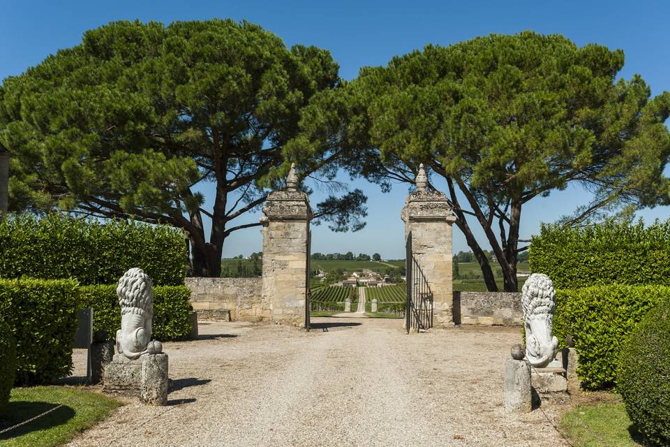 Vue sur les vignobles