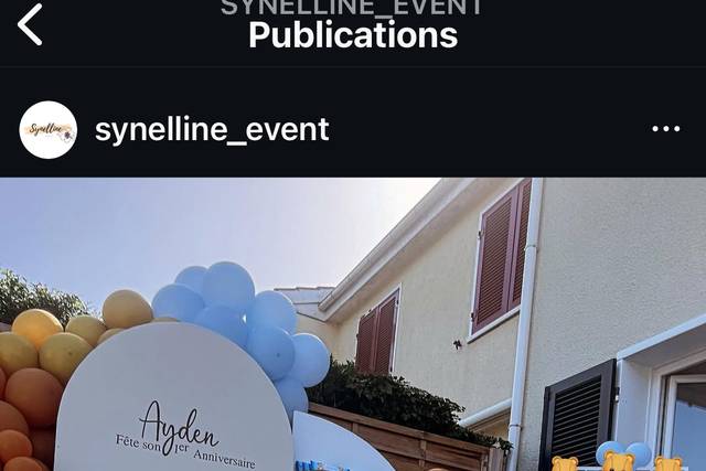 Synelline Event