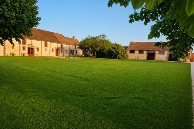 La cour