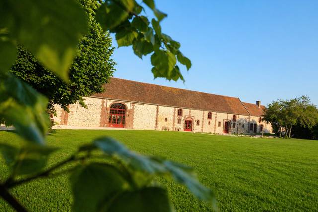 La cour