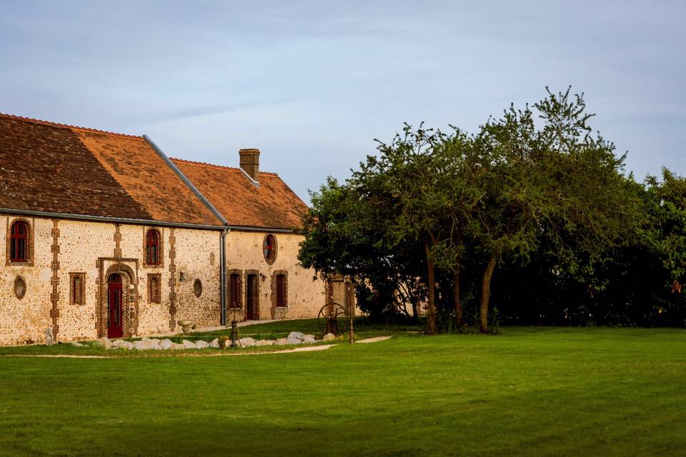 La cour