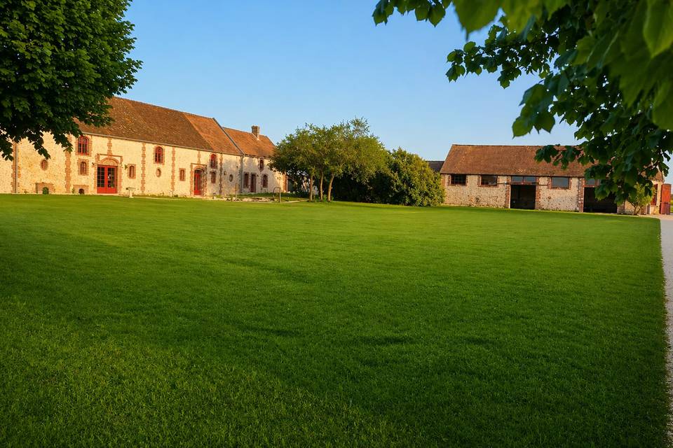 La cour