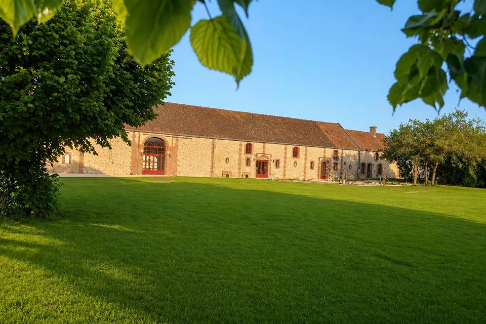 La cour