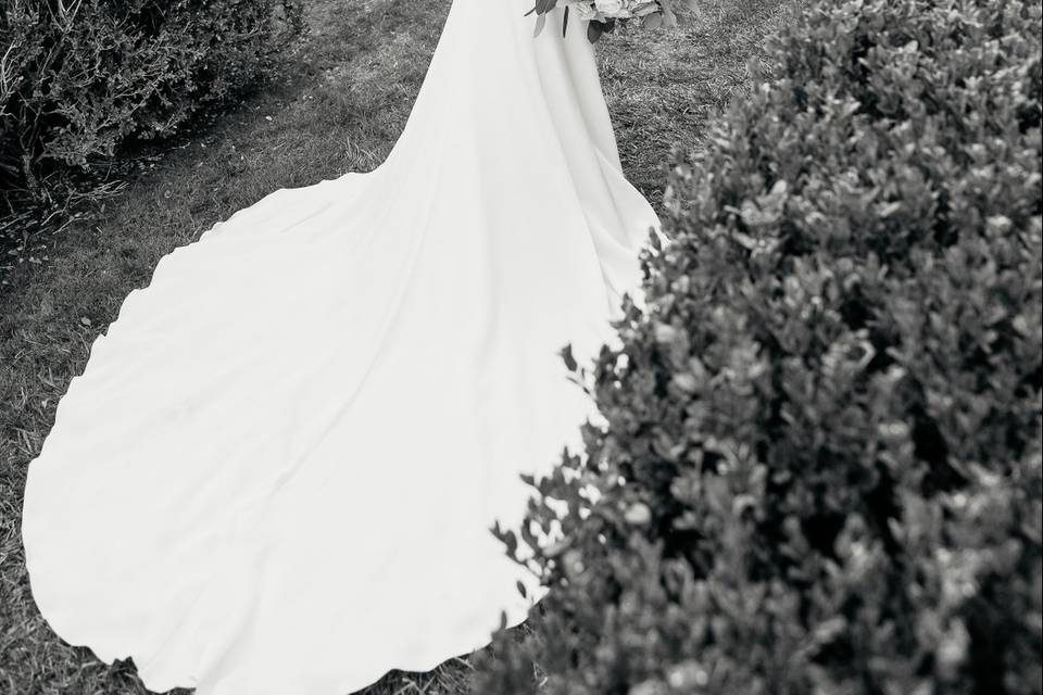 The dress