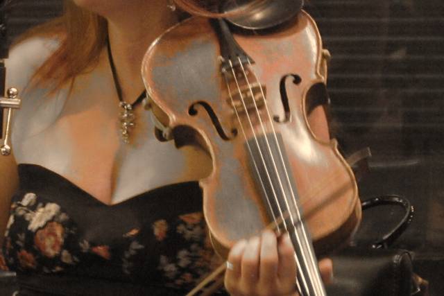 Violin