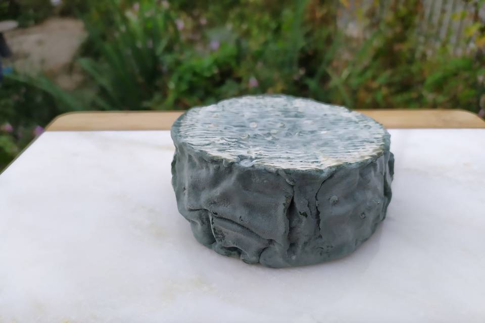 Fromage bleu au soja