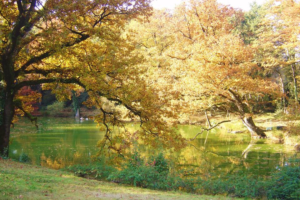 Site bouvreuil