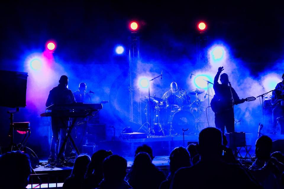 Fest Live