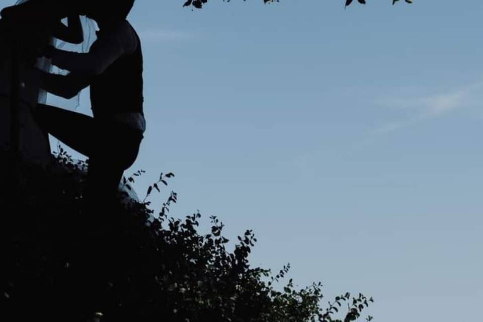Silhouettes