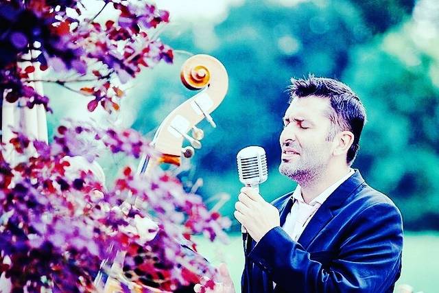 Cocktail crooner