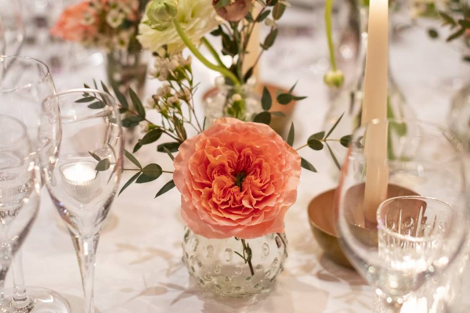 Photo : Pauline Quéru