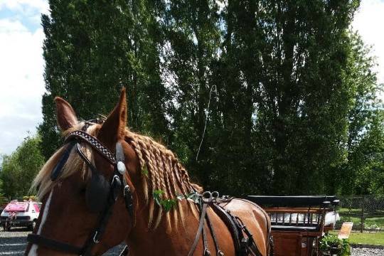 Les Attelages De L'Erdre