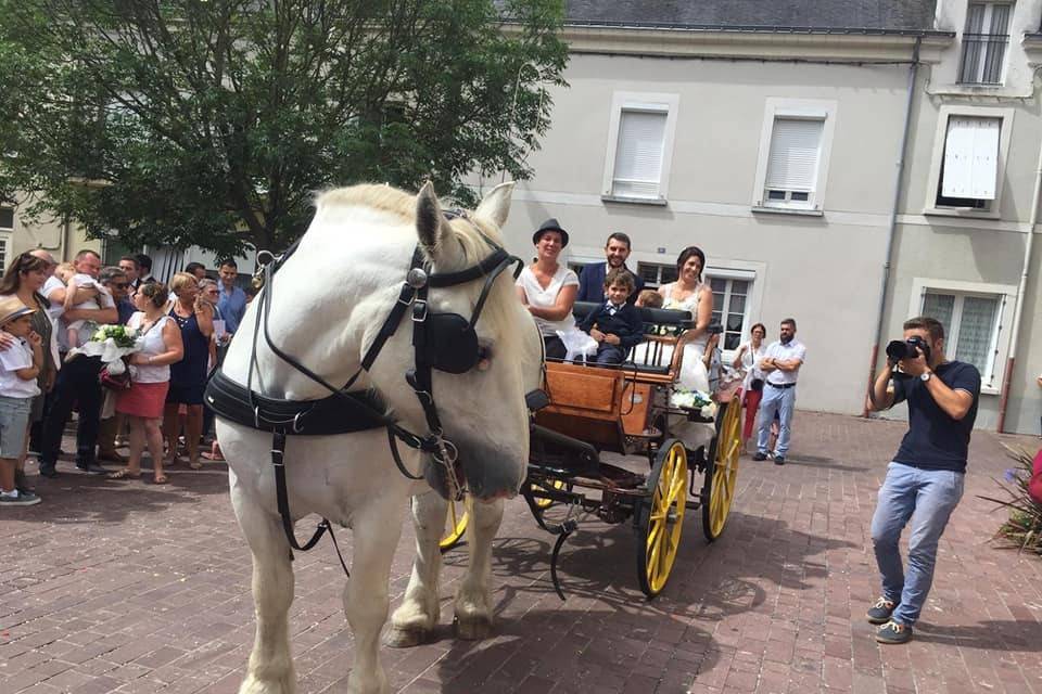 Les Attelages De L'Erdre