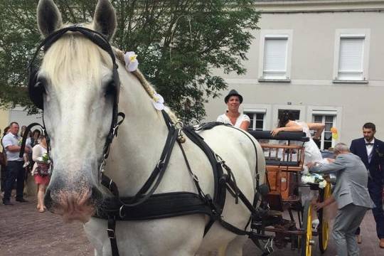 Les Attelages De L'Erdre