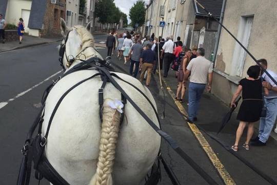 Les Attelages De L'Erdre