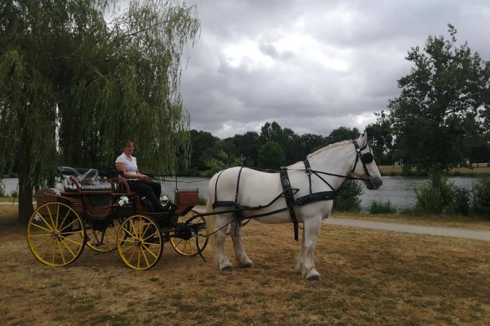 Les Attelages De L'Erdre