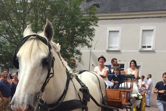 Les Attelages De L'Erdre