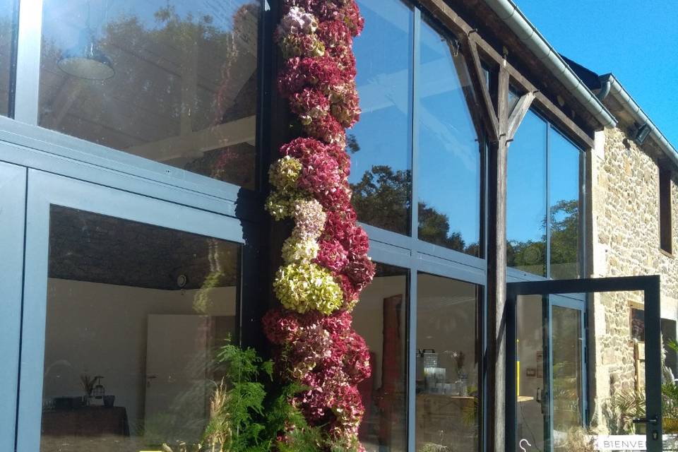 Colonne d'hortensia