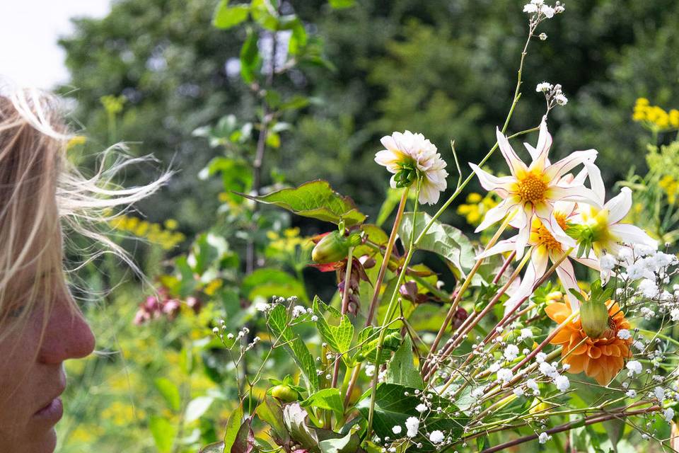 Fleurs de saison