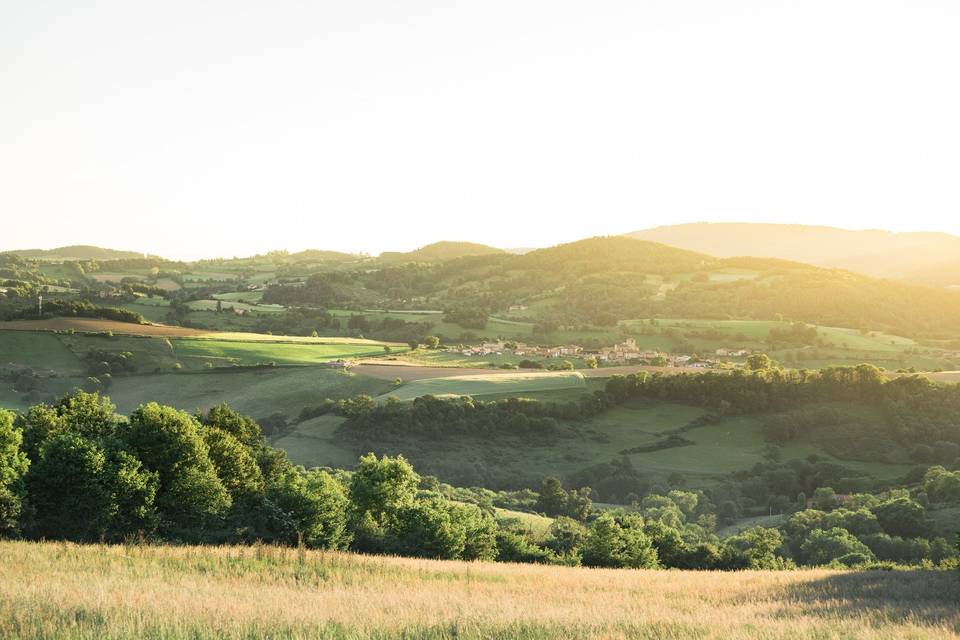 Paysage