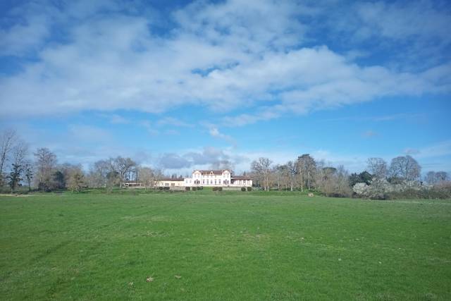 Château de Lavelanet de Comminges