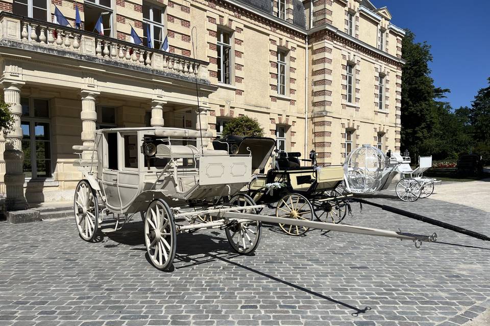 Landau blanc