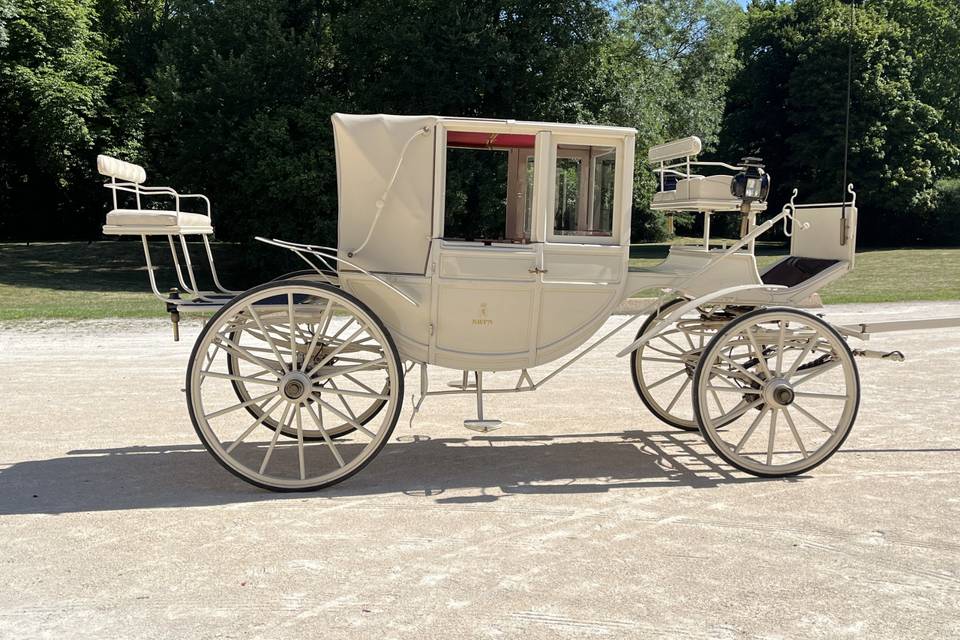 Landau blanc