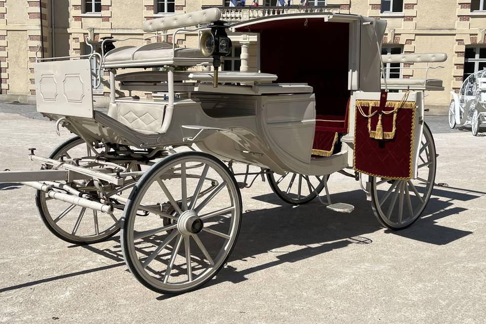 Landau blanc