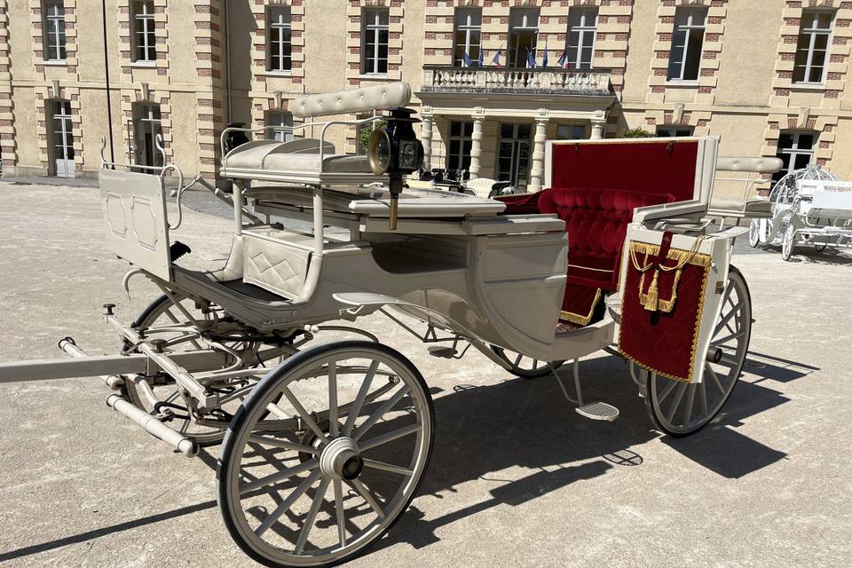 Landau blanc