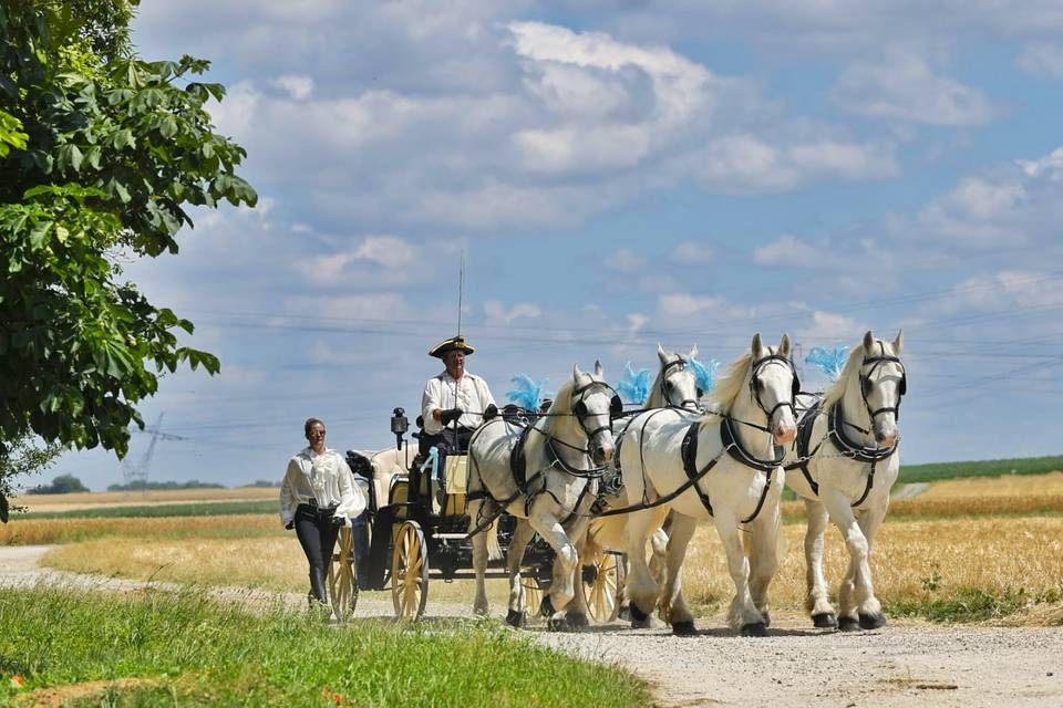 La Compagnie des Boulonnais