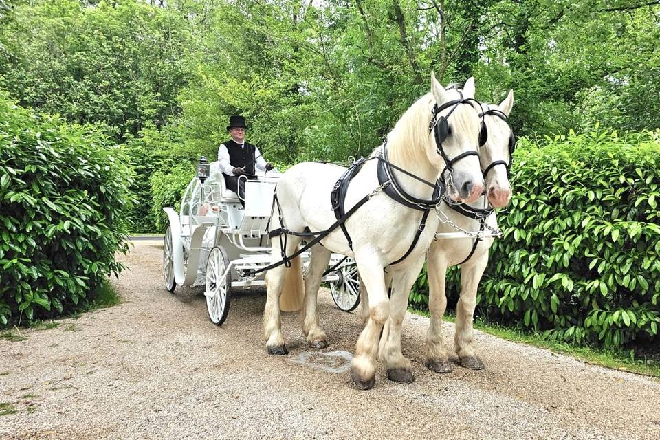 Cendrillon