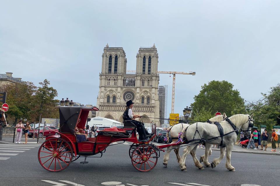 Vis à vis rouge
