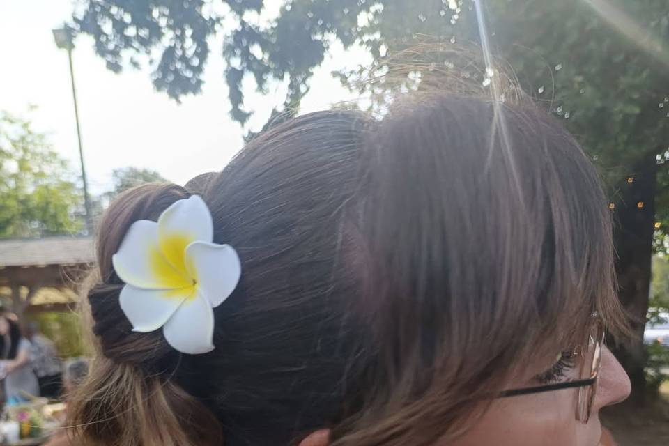 Chignon